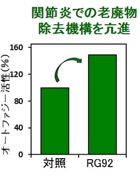 関節炎での老廃物除去機構を亢進