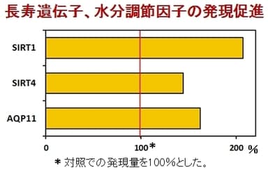 長寿遺伝子、水分調節因子の発現促進