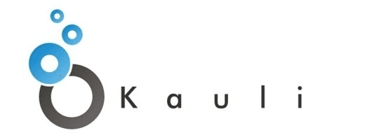 Kauli、アジアで急成長中のDSP「Vizury」と接続し、
ダイナミックリターゲティング広告による高単価なRTB広告を配信開始