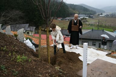 倍賞さん 記念植樹