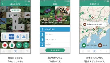 「にほんの昆虫」PetitPedia APPSイメージ