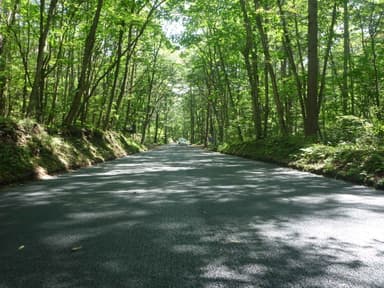 道路状況