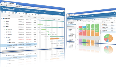 TimeTracker FX Web Edition