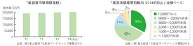 美容液 市場規模推移&価格帯別動向