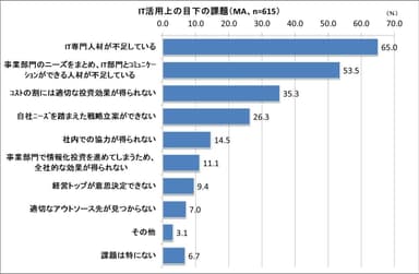 IT活用上の目下の課題