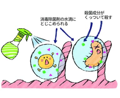 スプレー除菌剤の効果は？