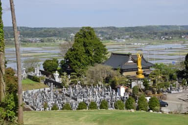 桜樹木葬「合葬墓地」4