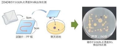 【図4】雑巾で水拭きした表面から検出された菌