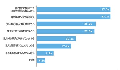 雨の日に愛犬の散歩に行かない理由