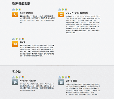 端末機能制限、その他