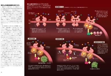 最先端をいく「がん」の研究