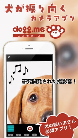 「dogg.meカメラ」イメージ