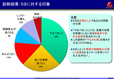 5Sの診断結果1