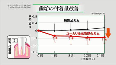 歯垢の付着量改善