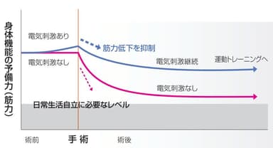 筋力低下抑制