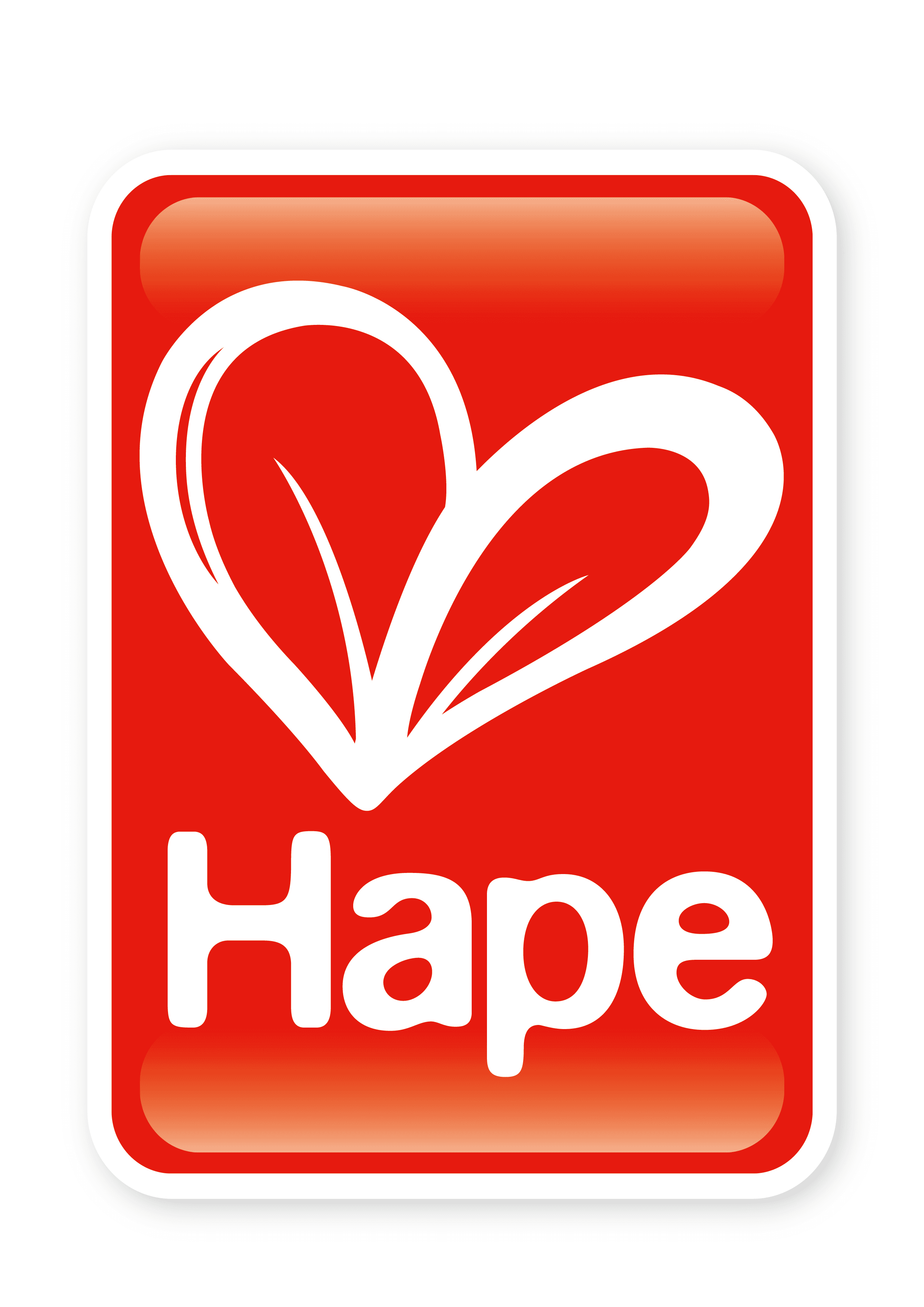 世界70カ国で愛されるドイツ生まれの知育おもちゃ「Hape(ハペ)」　
日本版公式ホームページがオープン