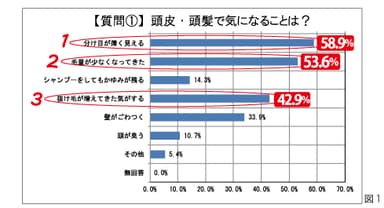 図1：頭皮・頭髪で気になることは？