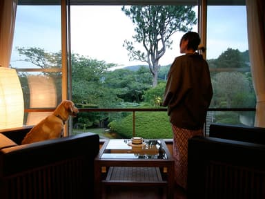 客室広縁：愛犬と一緒に夕涼み