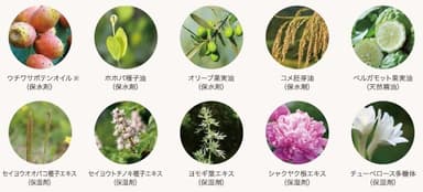 植物由来の天然成分を贅沢に配合