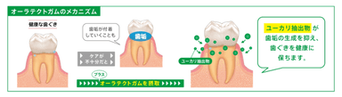 オーラテクトガムのメカニズム