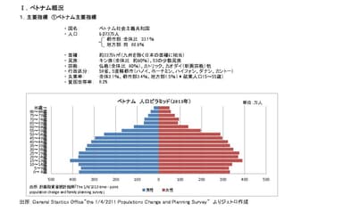 ベトナム 人口ピラミッド