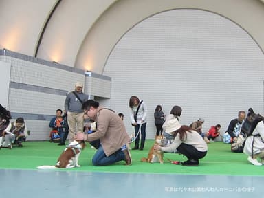 マテ王選手権