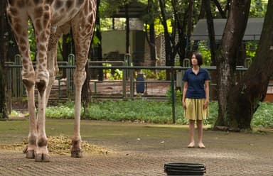 動物園からのパスポート