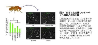 図３