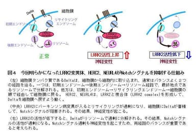 図４