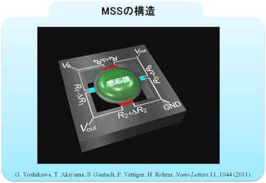 MSSの構造