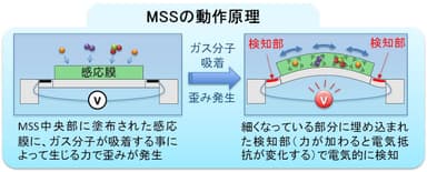 MSSの動作原理