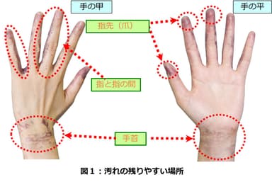 図1　汚れの残りやすい場所