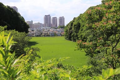 体験ツアー　ユーカリが丘と田園風景