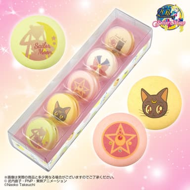 Princess time MACARON ＆ macaron charm(4)