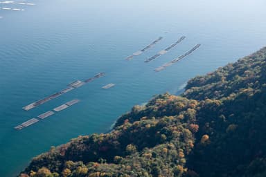 【夢庵】広島湾