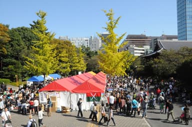 増上寺がリアルなミャンマーに変わります