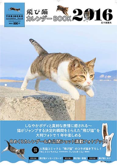 飛び猫 カレンダーBOOK