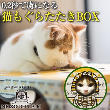 猫もぐらたたきBOX