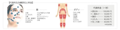 図10：代表的な治療部位と料金