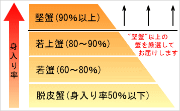 身入り率による蟹のランク