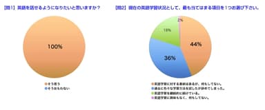 アンケートグラフ