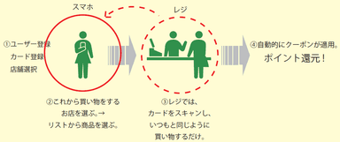 カタリナ使い方