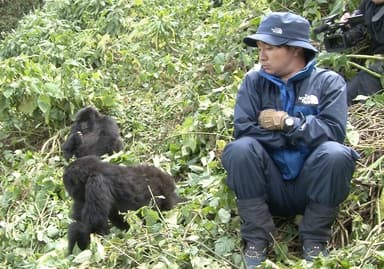 子ゴリラにそっと近づく濱田