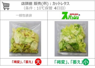 カットレタスでのスパッシュ(R)効能評価