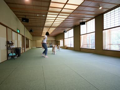 空調を完備した77畳の室内ドッグラン