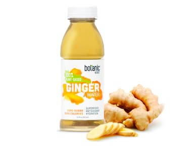 GINGER WATER(ジンジャーウォーター)