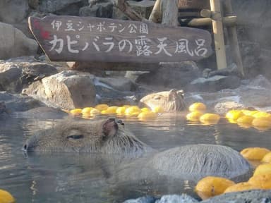 4園国長風呂対決