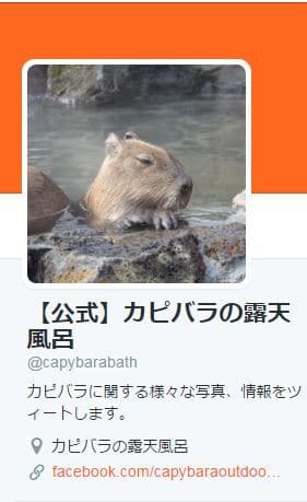 カピバラの露天風呂Twitter