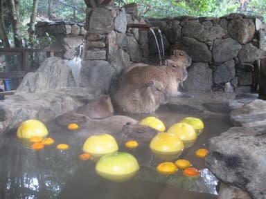 長崎バイオパーク