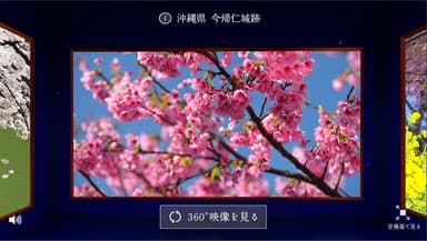 「360度の桜に包まれる、金麦特等席」イメージ2